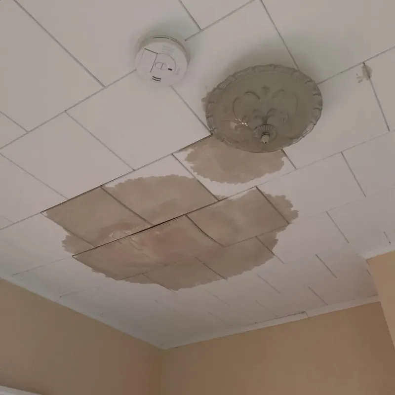 Ceiling Water Damage Repair in Cleveland, OK