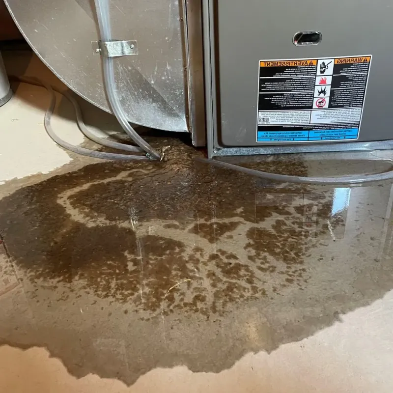Pipe Burst and Leak Restoration in Cleveland, OK